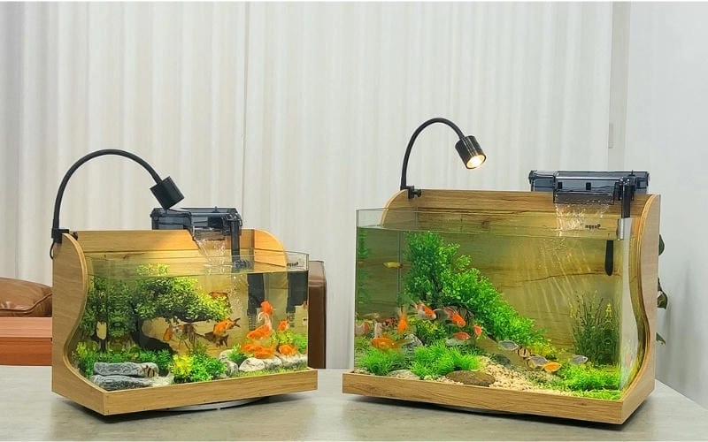 Tận dụng góc nhỏ cho mẫu hồ cá nhỏ đẹp ấn tượng