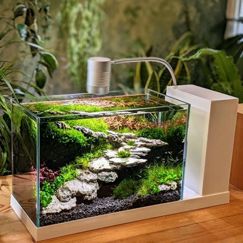 Thiết kế tối giản cho mẫu hồ cá mini tiết kiệm không gian