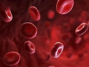 Khám phá ảnh bệnh nhân tan máu bẩm sinh tại bệnh viện lớn