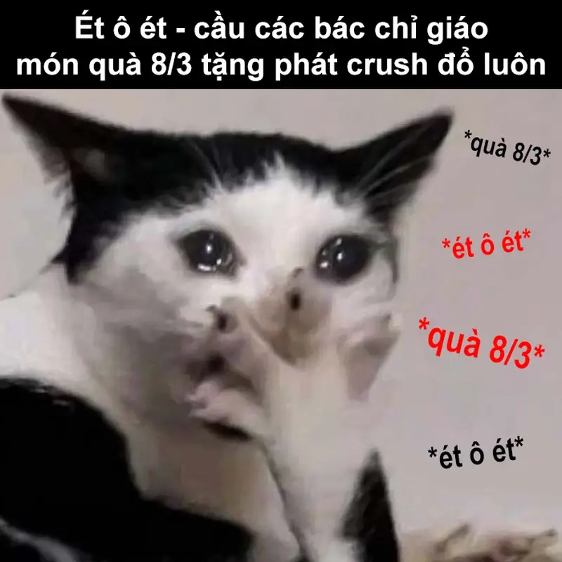 Ai cũng cần một lần dùng meme ét o ét (SOS) trong đời