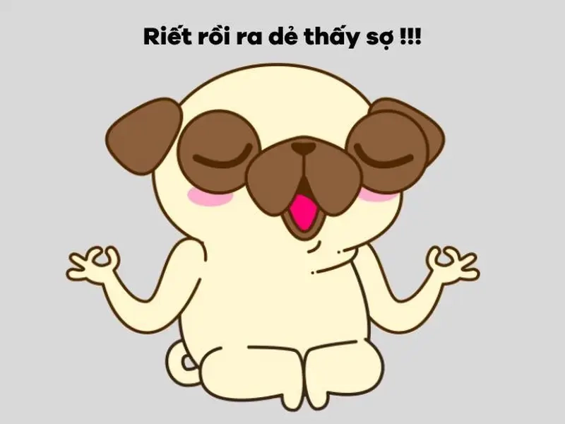 Cười thả ga với loạt meme hay ra dẻ quá siêu bá đạo