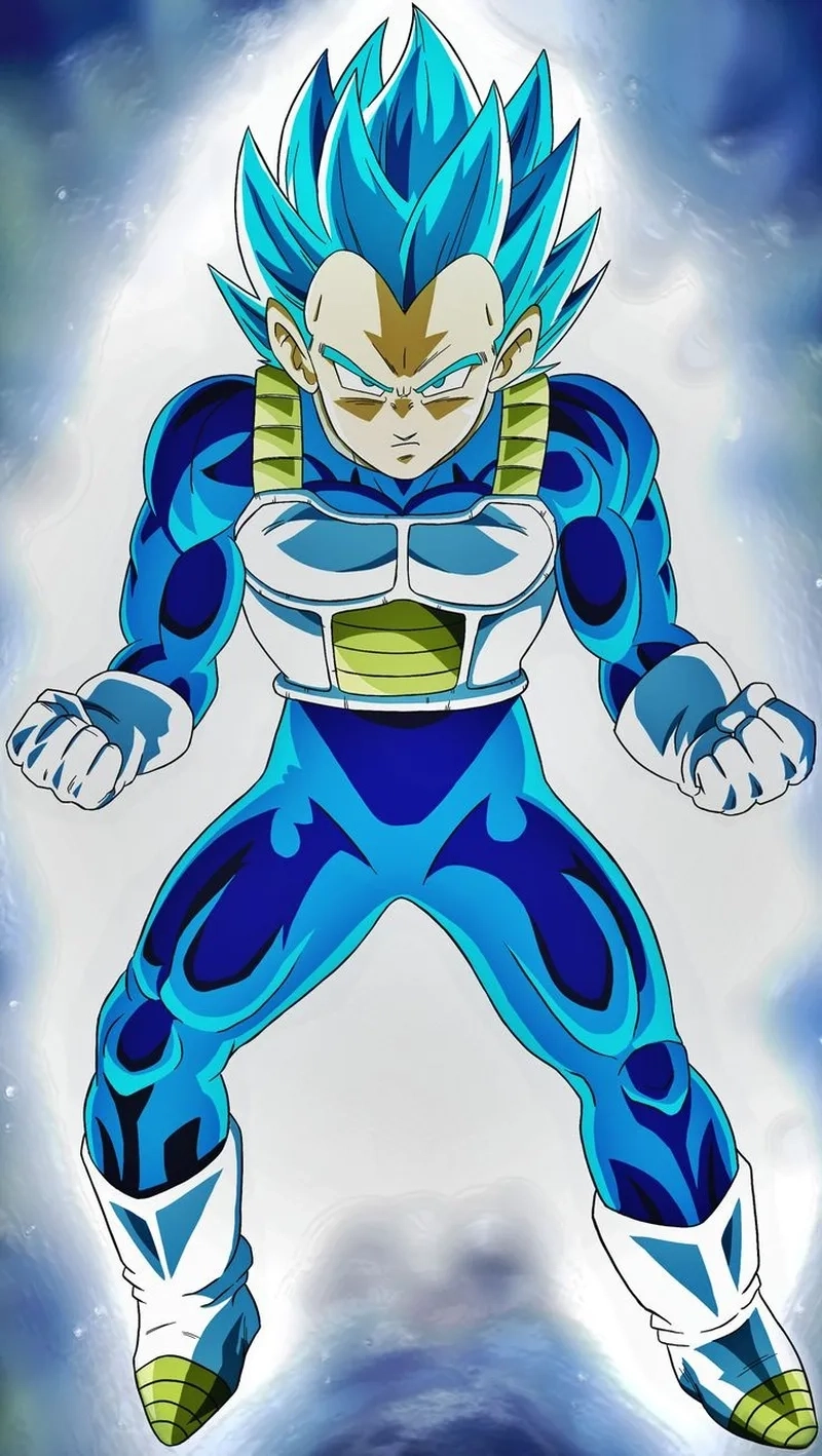Tổng hợp những ảnh Vegeta đẹp ngầu và mạnh mẽ