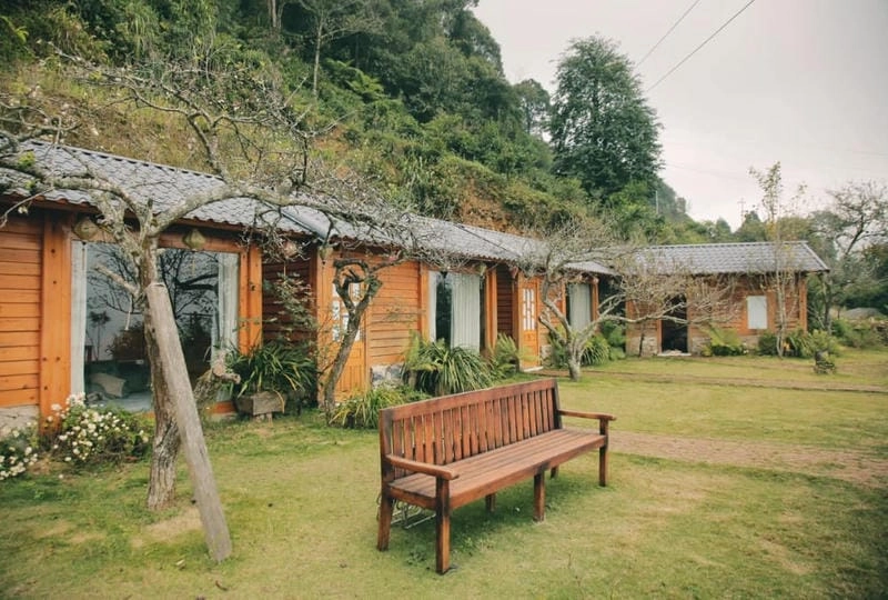 Ấn tượng với các mẫu thiết kế homestay đẹp