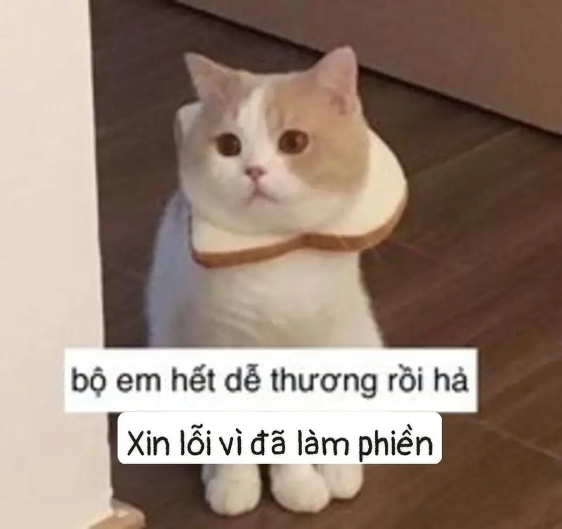 Hành động liên quan đến meme trở nên dễ dàng với việc xin meme nhanh chóng