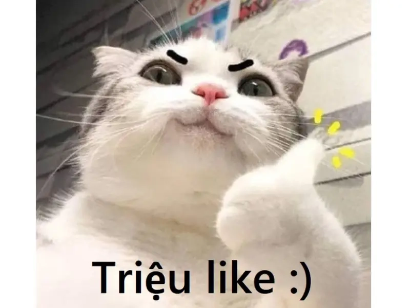 Bạn đã thử chế ảnh meme để thể hiện cá tính chưa