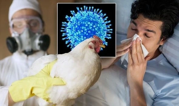 Thực hiện cách phòng tránh bệnh cúm a mùa lạnh