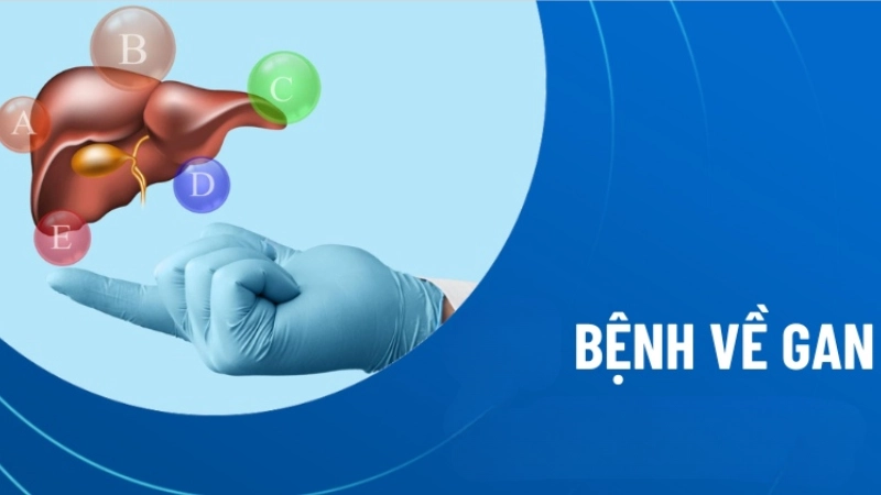 Nhận biết sớm qua hình ảnh bệnh gan điển hình