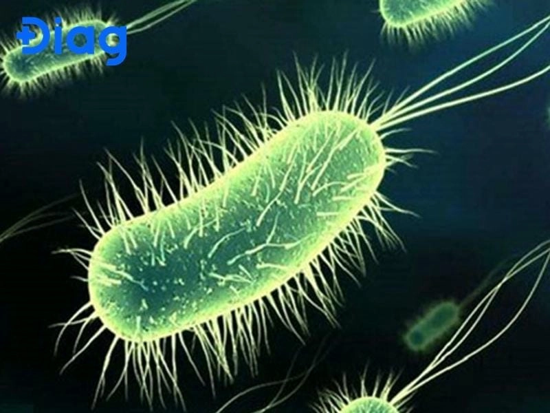 Phân biệt bệnh kiết lỵ ở trẻ nhỏ và rối loạn tiêu hóa