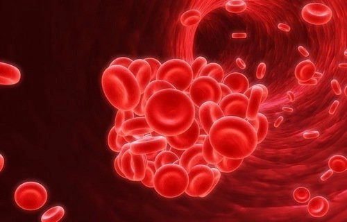 Bất ngờ với loạt ảnh máu khó đông cực hiếm