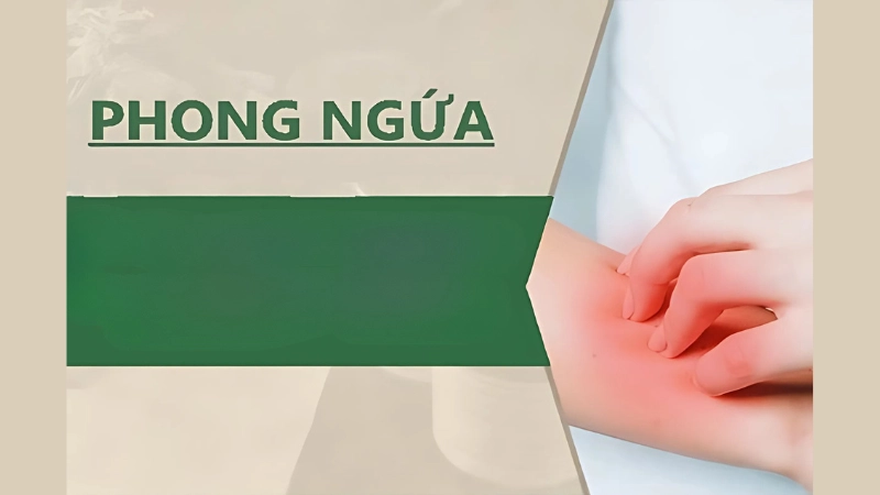 Tổng hợp hình ảnh bệnh phong ngứa phổ biến hiện nay