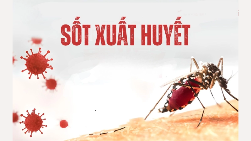 Nhận biết hình ảnh bệnh sốt xuất huyết ở người lớn