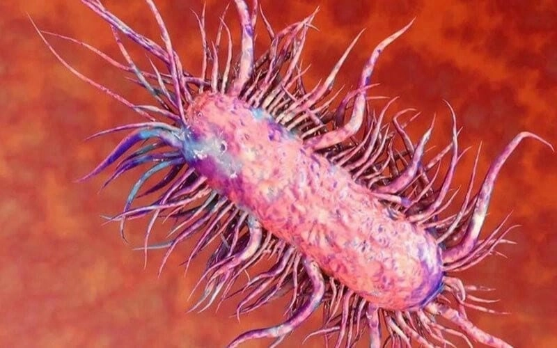Góc nhìn cận cảnh ảnh vi khuẩn ăn thịt người thật
