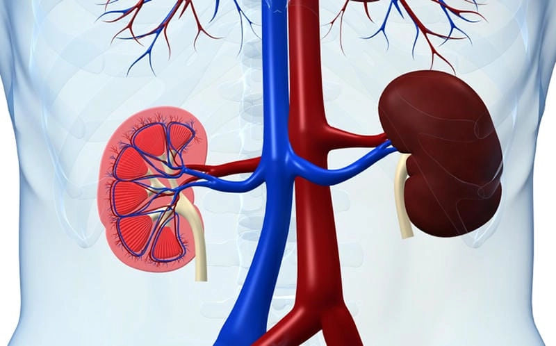 Tìm thấy hình ảnh bệnh viêm cầu thận bệnh nhân đang điều trị