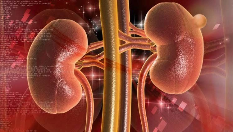 Nhận biết hình ảnh bệnh viêm cầu thận và triệu chứng phổ biến