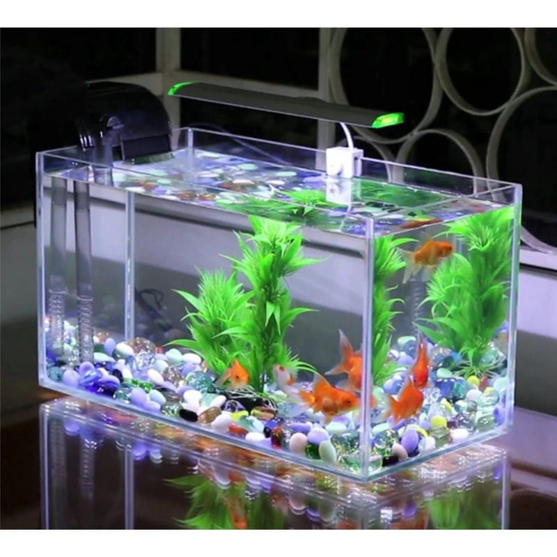 Cảm hứng thiết kế từ mẫu hồ cá kính đẹp hiện đại