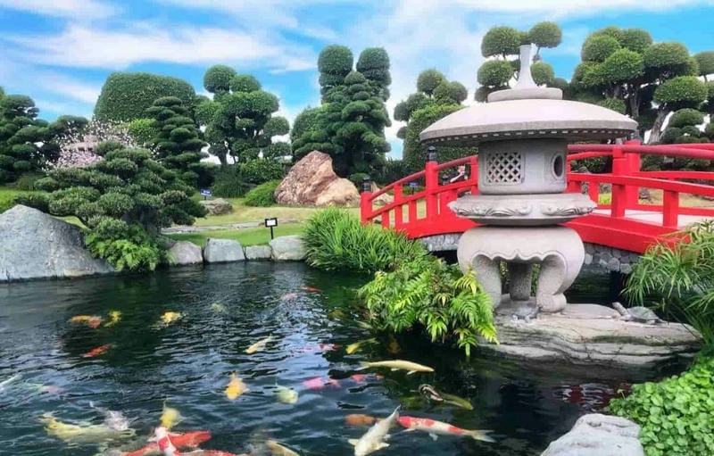 Ý tưởng độc đáo đến từ mẫu hồ cá koi mini