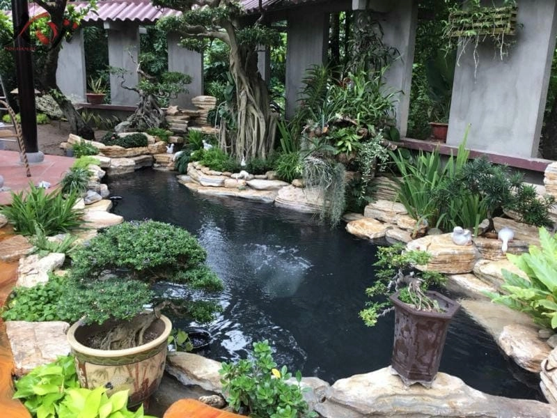 Biến hóa không gian với các kiểu hồ cá đẹp