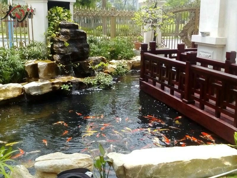 Trang trí nhà thêm cuốn hút với các mẫu bể cá