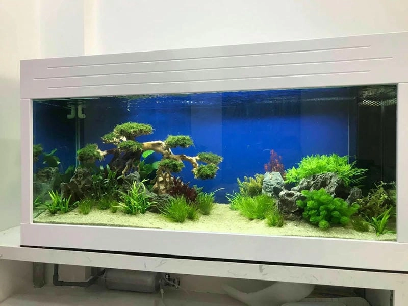 Lấy cảm hứng thiên nhiên từ mẫu hồ biotop đẹp mới lạ