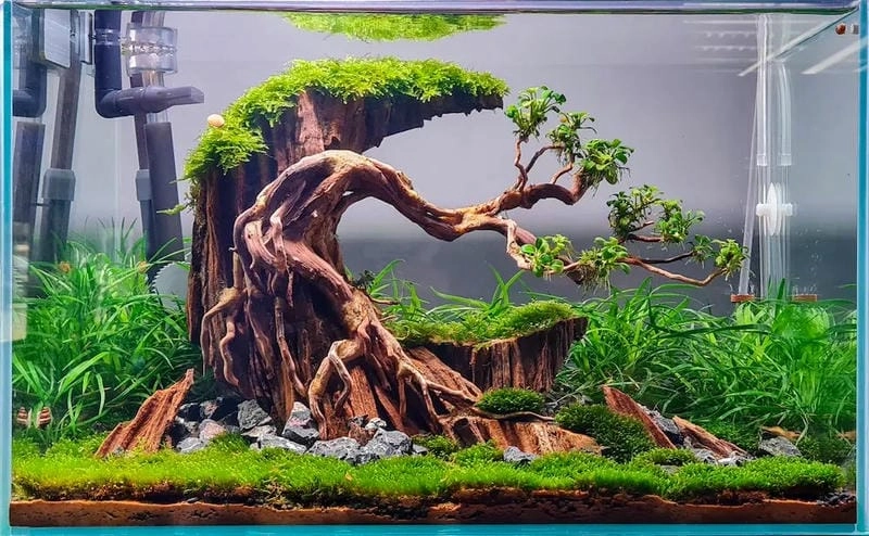 Đem thiên nhiên vào nhà với mẫu bể cá trong nhà hợp phong thủy