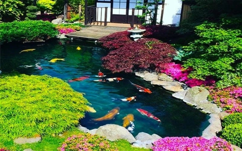 Chọn lựa thông minh từ các mẫu bể cá xây đẹp