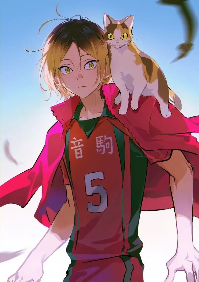 Chiều cao của Kenma Kozume height gây bất ngờ cho nhiều fan