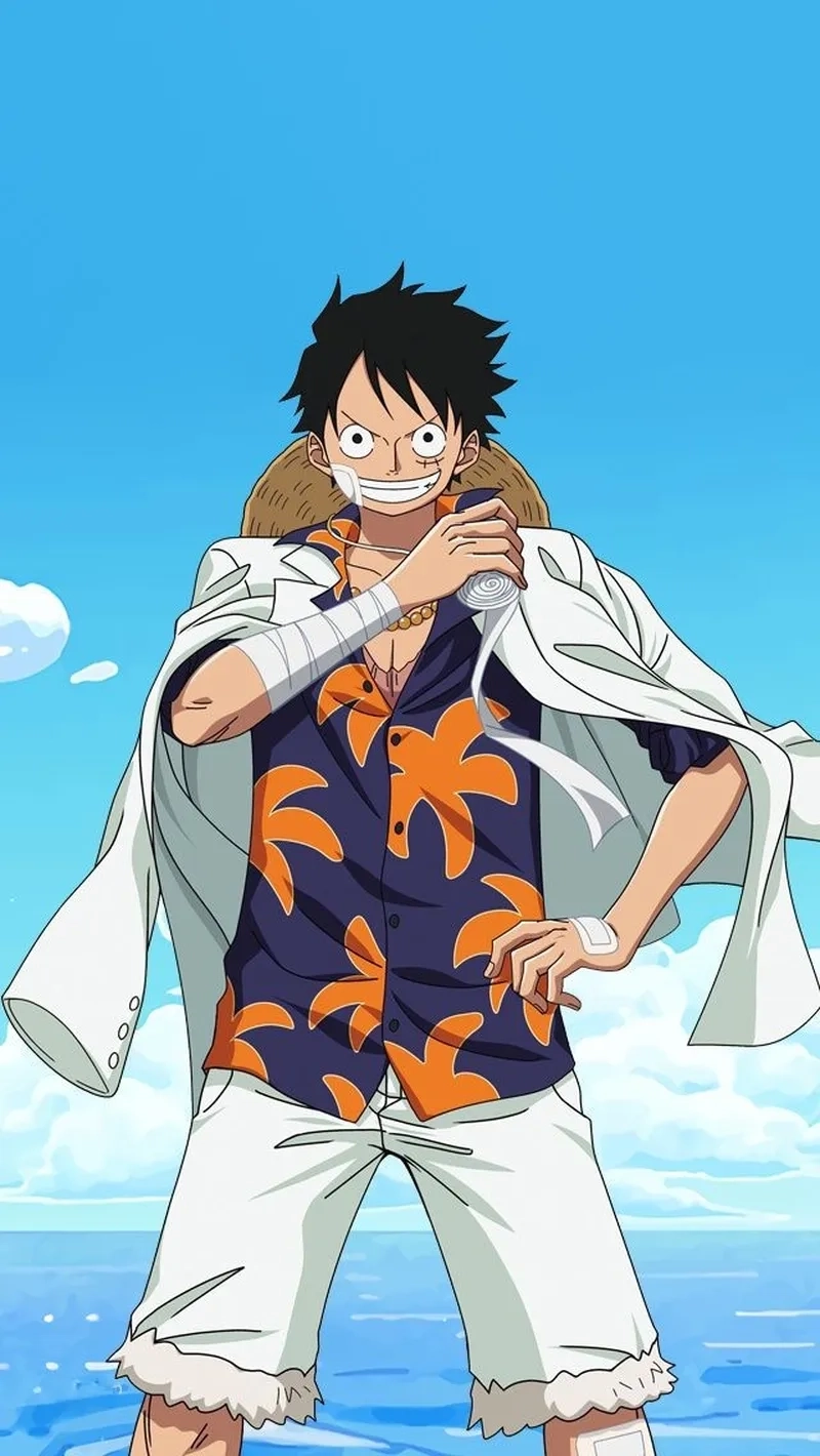 Ảnh Luffy 2D với phong cách truyền thống