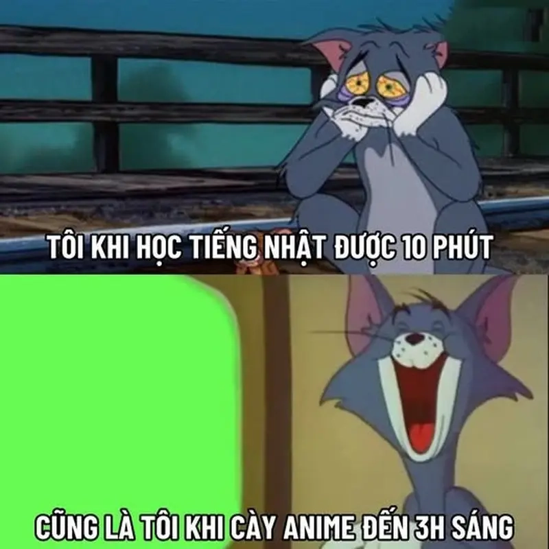 Những khoảnh khắc vui nhộn trong meme xem anime khuya gây cười sảng khoái