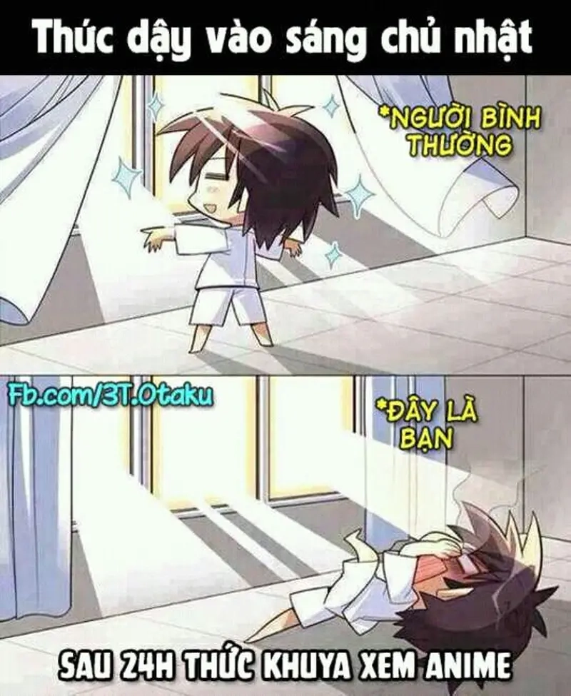 Meme xem anime khuya thu hút lượng tương tác cao trên mạng xã hội