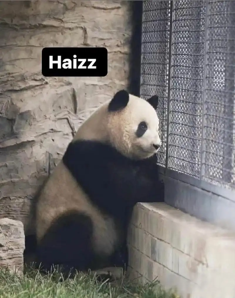 Mệt mỏi quá rồi chia sẻ meme thở dài để được thấu hiểu