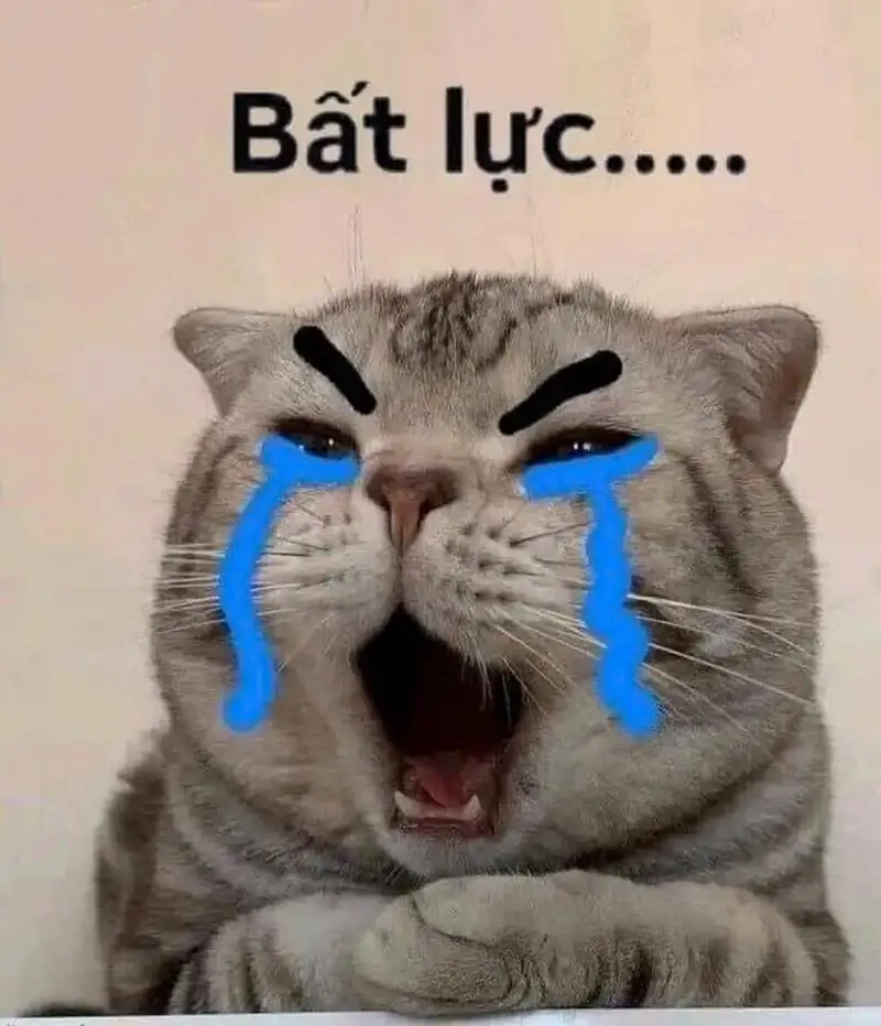 Thở dài một cái, kéo xuống xem meme bất lực chấm com thôi