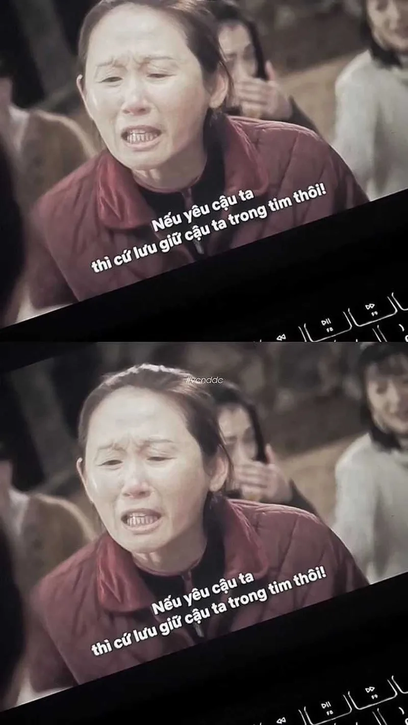 Tình yêu không trọn vẹn qua từng meme buồn về tình yêu.\