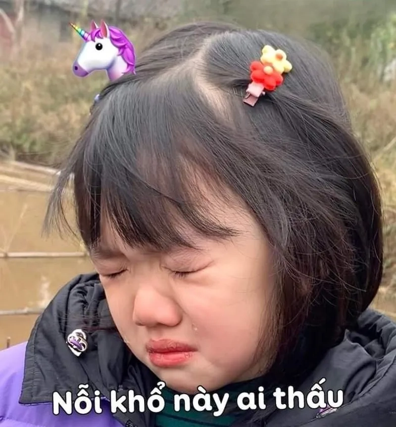Meme buồn sâu lắng, như cách ta che giấu nỗi đau mỗi ngày