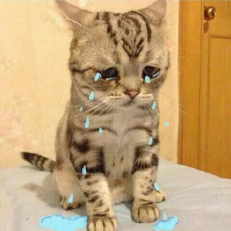 Cảm xúc vỡ vụn trong từng meme buồn rớt nước mắt