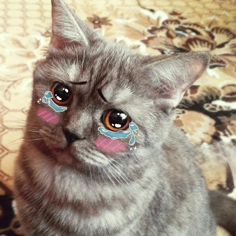 Những meme tâm trạng không màu mè, chỉ toàn sự thật