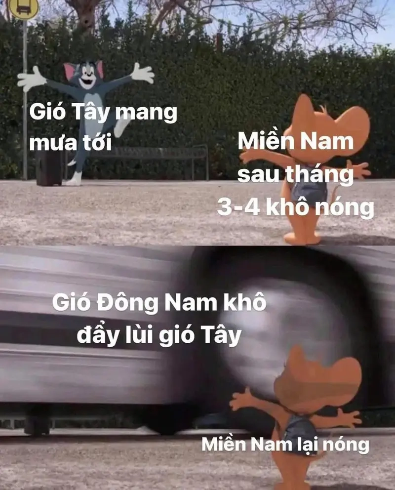 Meme môn Địa sáng tạo meme các môn học
