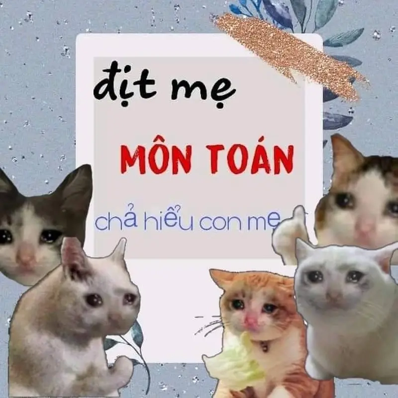 Tổng hợp meme môn Toán meme các môn học đặc sắc