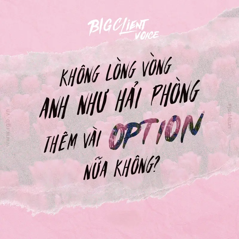 Meme các tỉnh thành khác với meme Hải Phòng độc đáo