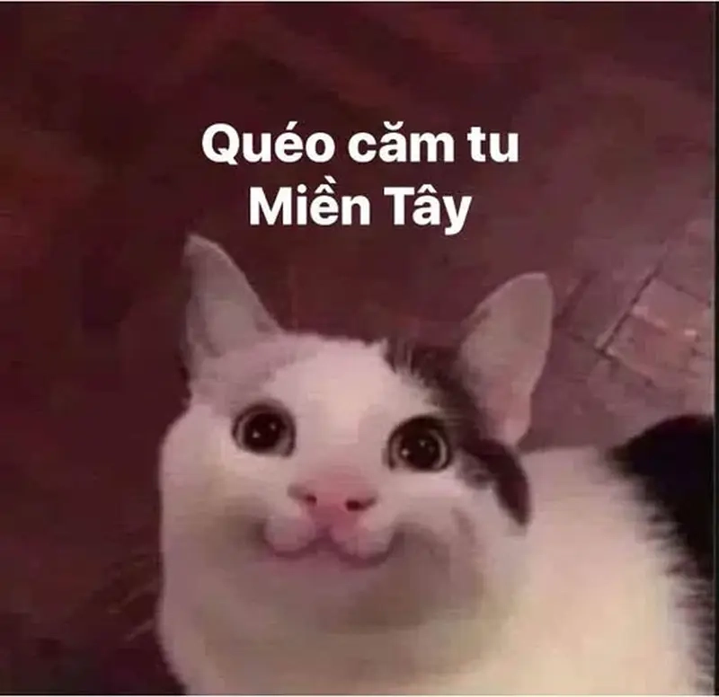 Meme các tỉnh thành khác nổi bật với meme người miền Tây