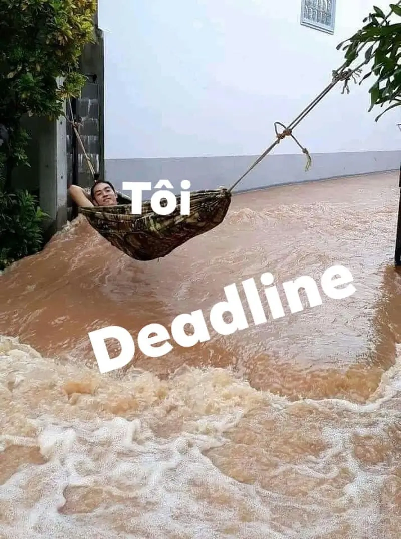 Meme deadline dí giúp coder xả stress khi áp lực thời gian đến gần