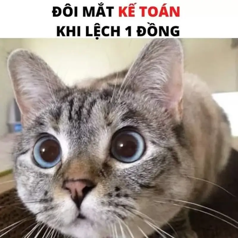 Khi meme số liệu không khớp làm dân kế toán phải chạy tìm nguyên nhân