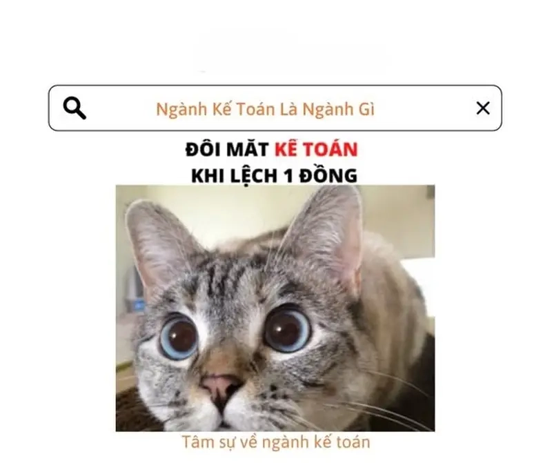 Meme số liệu không khớp là nỗi ám ảnh nhưng cũng là chủ đề meme vui