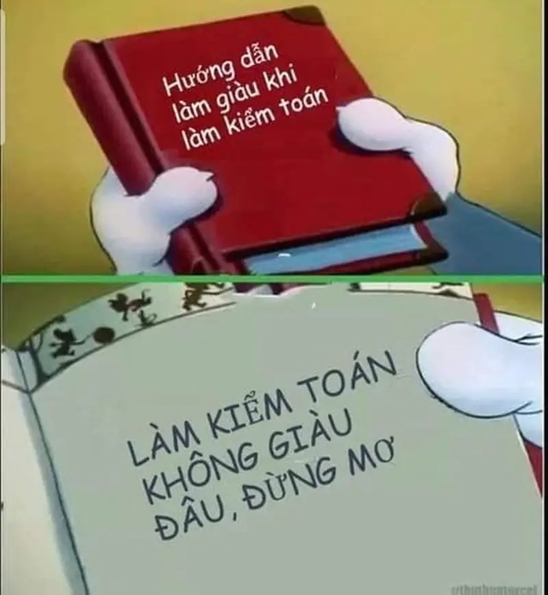 Giải trí cùng meme kiểm toán cho dân kế toán thêm phần vui vẻ