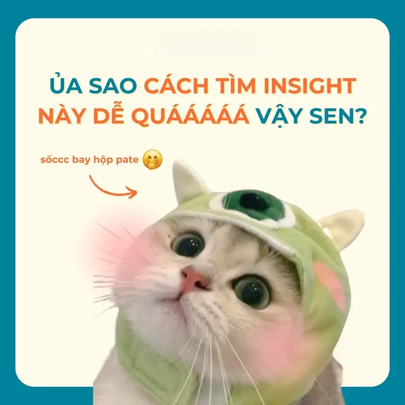 Chia sẻ meme insight khách hàng để kết nối và học hỏi từ cộng đồng marketing