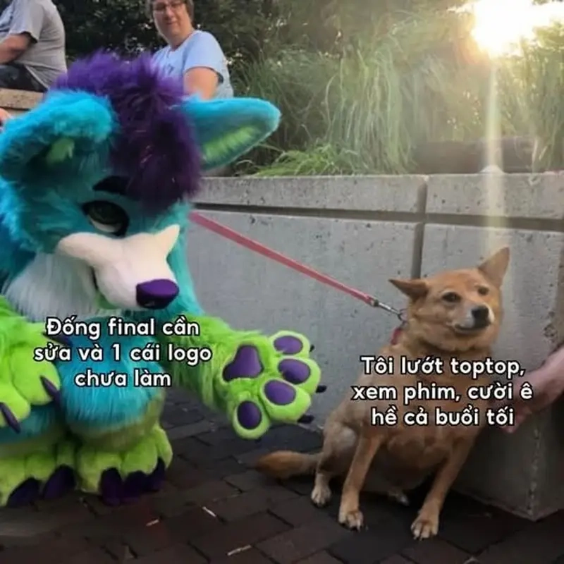 Meme Dân Thiết kế (Designer) không thể thiếu meme 