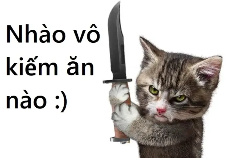 Meme mèo cầm dao làm meme động vật thêm phần kịch tính