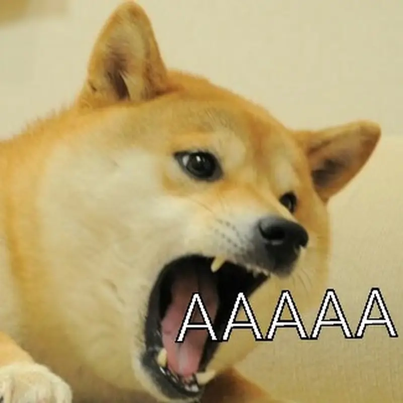 Meme chó shiba (cheems) làm meme động vật thêm phần độc đáo