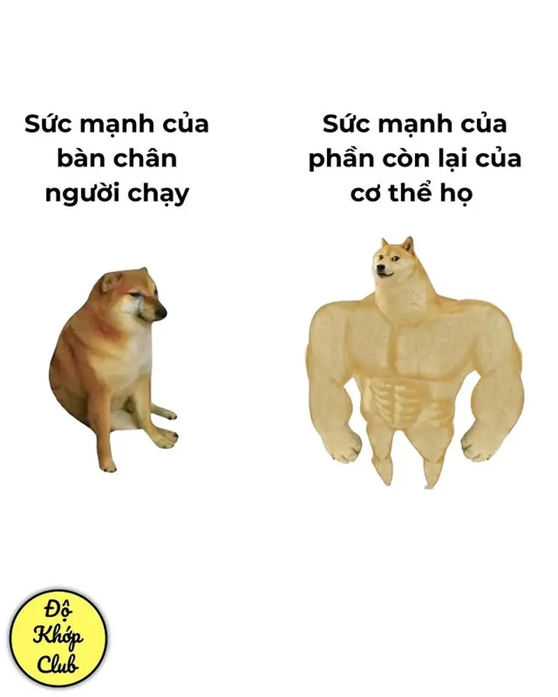 Meme khoe của giúp bạn nổi bật giữa đám đông mạng xã hội