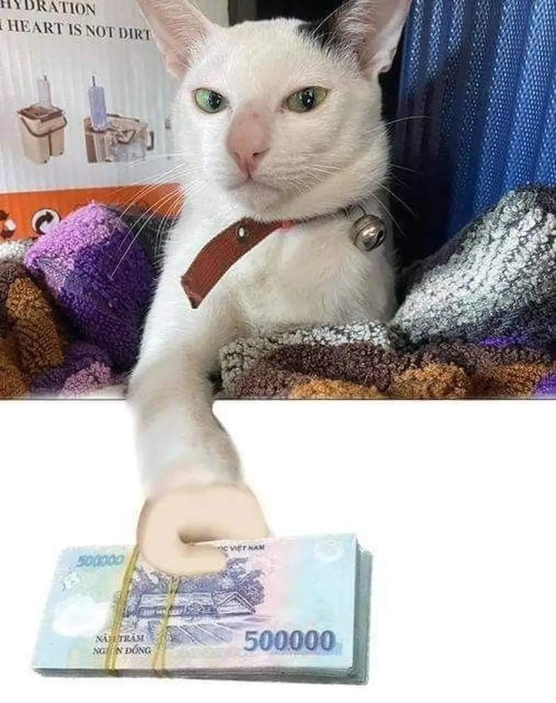 Gây bão cộng đồng với meme khoe của không đụng hàng