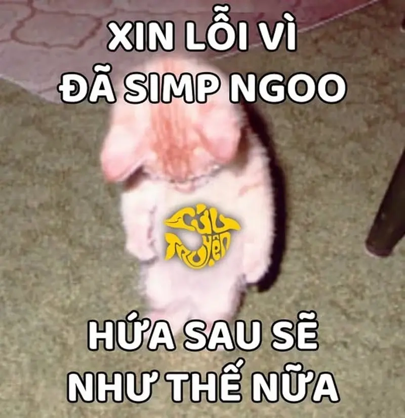 Tạo meme 